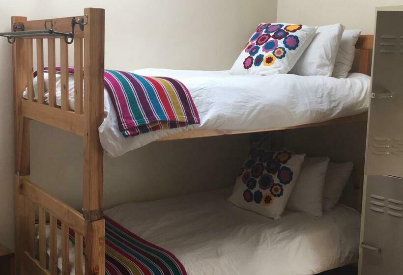 ルームシェアのワンベッド, A Sunflower Stop Backpackers