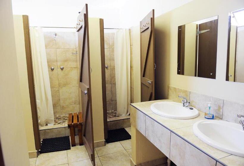 חדר סטנדרט חדר אמבטיה משותף, A Sunflower Stop Backpackers