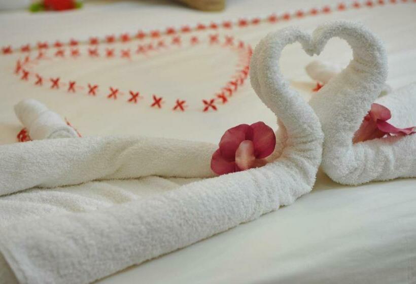 اتاق لوکس, Arora Inn