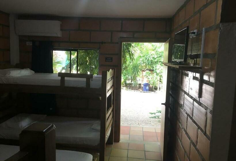 חדר משפחתי, Pizzeria Opera Tolú