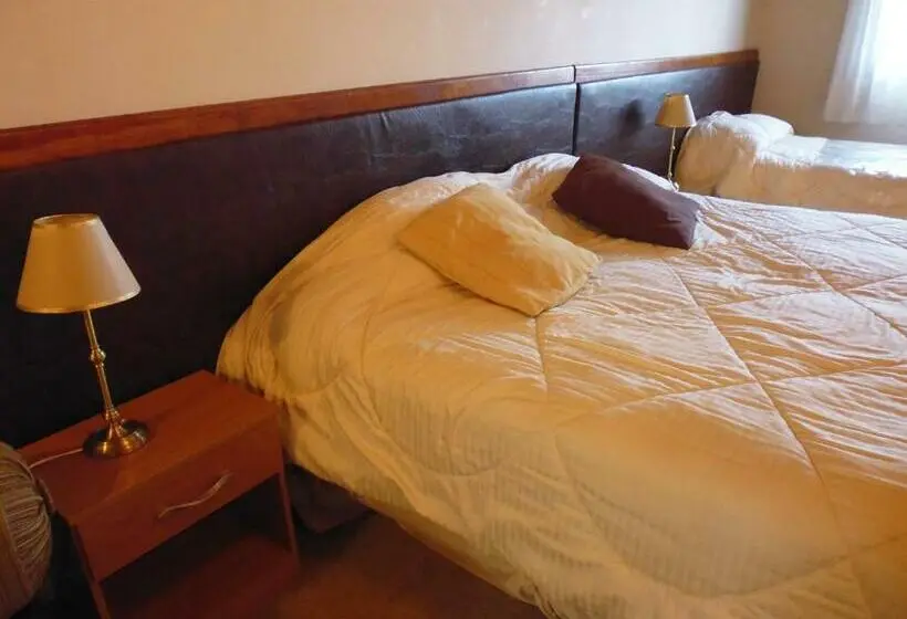 スタンダードルーム, Tango B&b