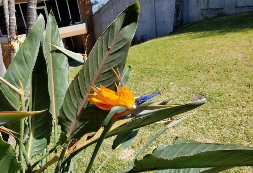 منزل غرفة نوم واحدة, Monte Campana Escazu