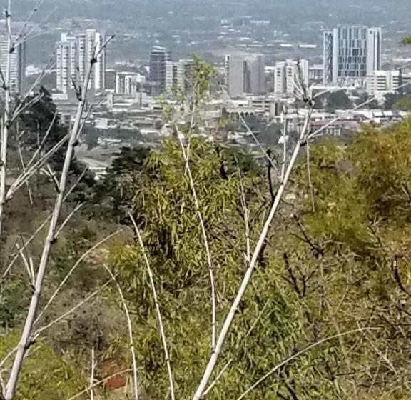 بنجلو سوبيريور, Monte Campana Escazu