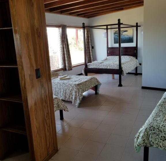 إستوديو ديلوكس, Monte Campana Escazu