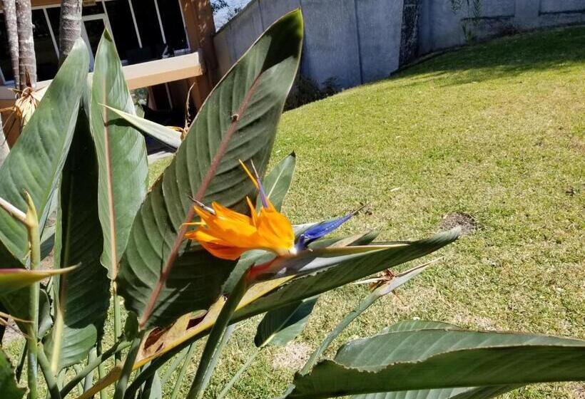 منزل غرفة نوم واحدة, Monte Campana Escazu