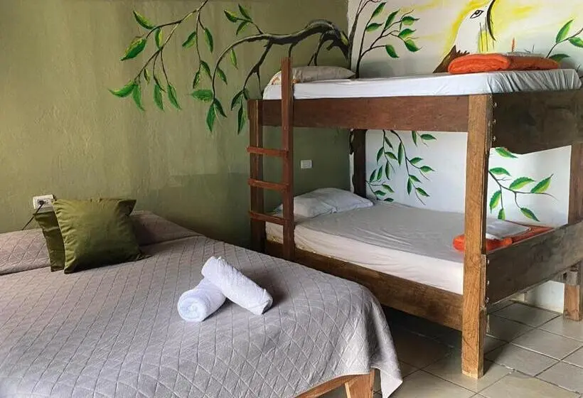 エコノミー4人部屋, Hostel La Suerte