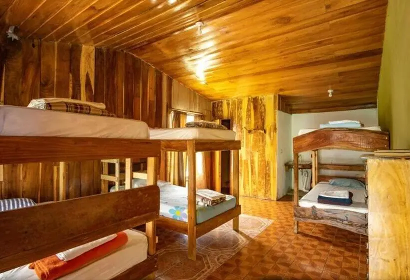 ルームシェアのワンベッド, Hostel La Suerte