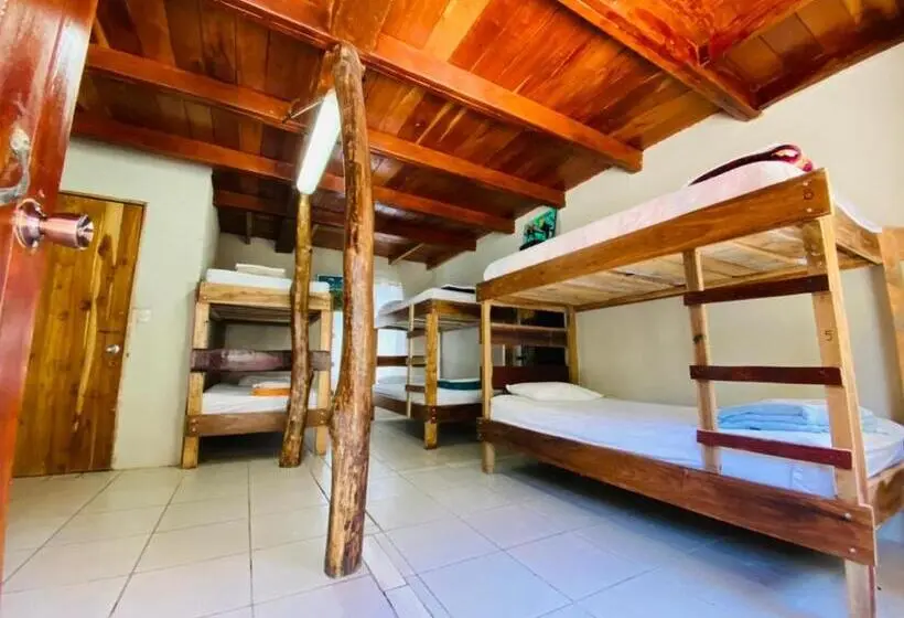 ルームシェアのワンベッド, Hostel La Suerte