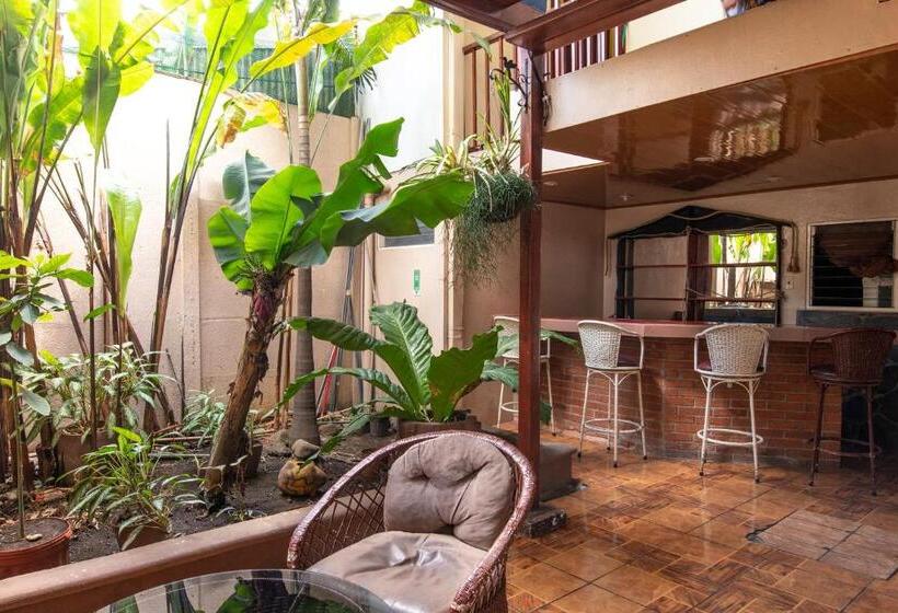 标准三人间, Sura