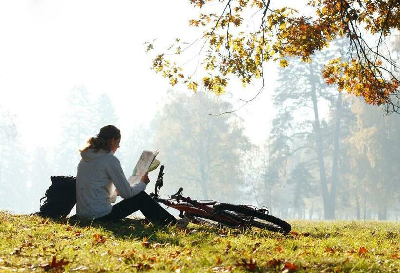 Номер Стандарт, Centrale Hotel Und Restaurant