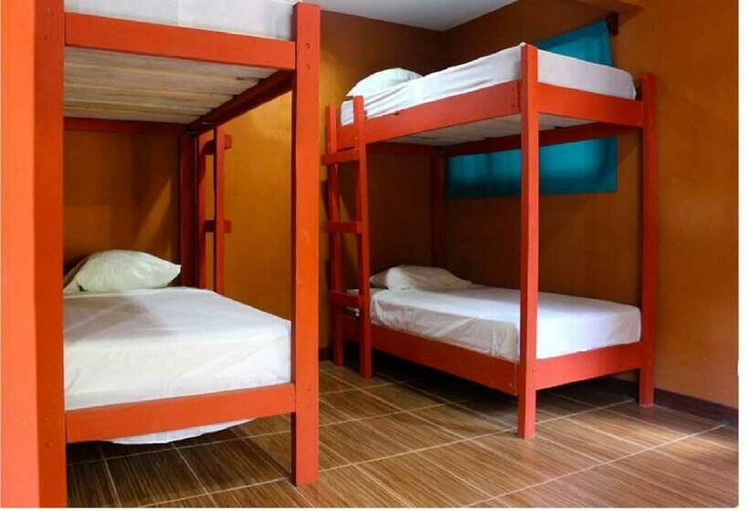 ルームシェアのワンベッド, Coral Reef Surf Hostel And Camp