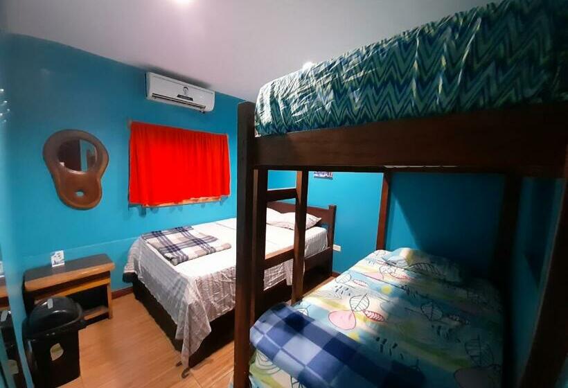 이코노미 쿼드러플룸(공용 화장실), Coral Reef Surf Hostel And Camp