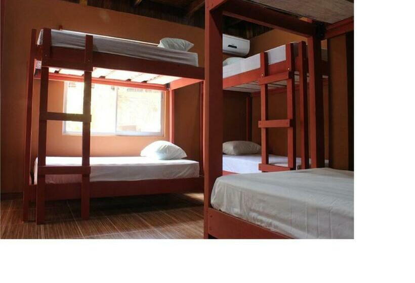 ルームシェアのワンベッド, Coral Reef Surf Hostel And Camp