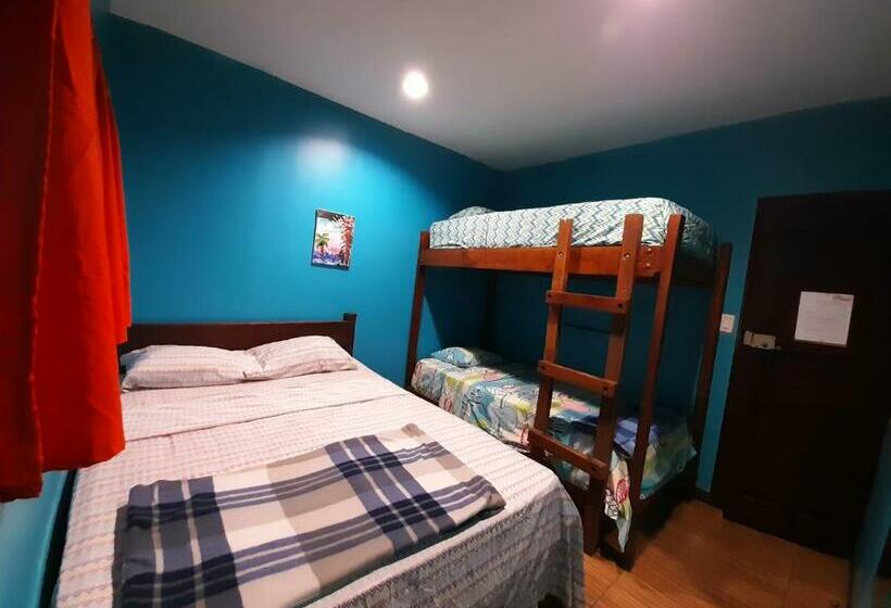 バスルーム共同エコノミー4人部屋, Coral Reef Surf Hostel And Camp