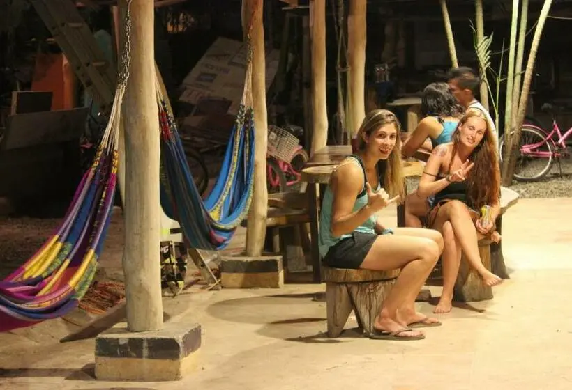 تختخواب در اتاق مشترک, Coral Reef Surf Hostel And Camp