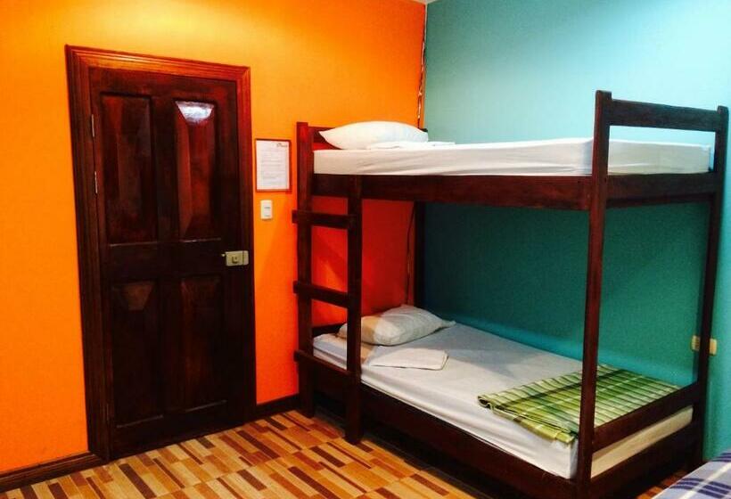 バスルーム共同エコノミー4人部屋, Coral Reef Surf Hostel And Camp