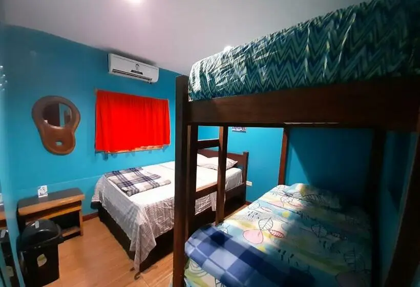 اتاق استاندارد, Coral Reef Surf Hostel And Camp