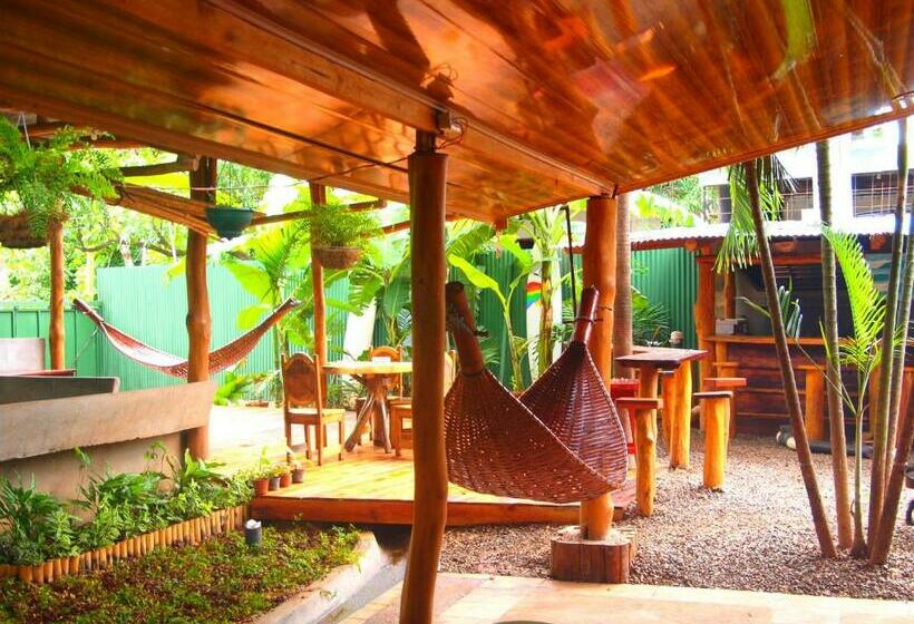 スタンダードルーム, Coral Reef Surf Hostel And Camp