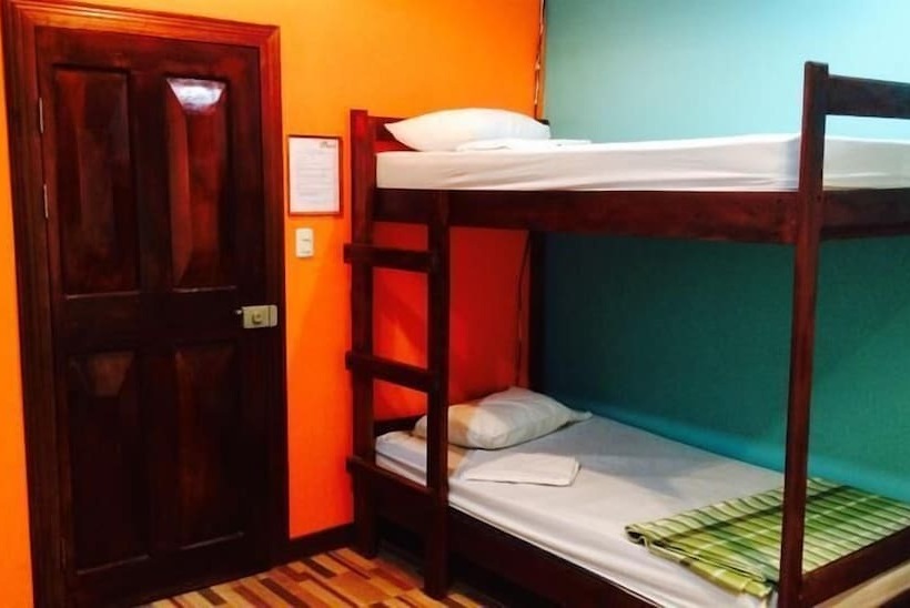 이코노미 쿼드러플룸(공용 화장실), Coral Reef Surf Hostel And Camp