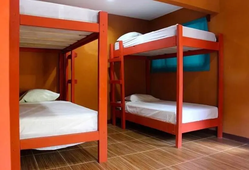 تختخواب در اتاق مشترک, Coral Reef Surf Hostel And Camp