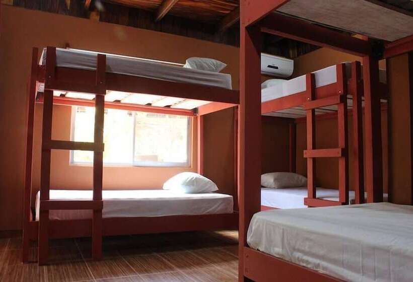 ルームシェアのワンベッド, Coral Reef Surf Hostel And Camp