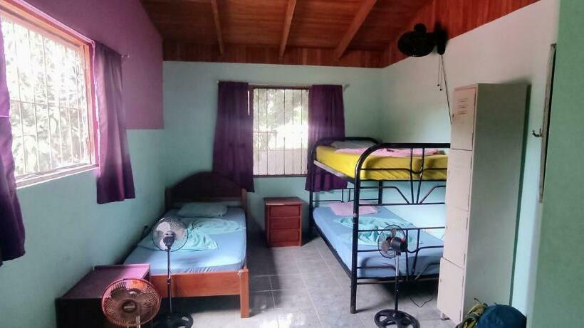 سرير فى غرفة مشتركه, Matilori Hostel