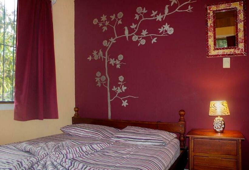 غرفة قياسية حمام مشترك, Matilori Hostel