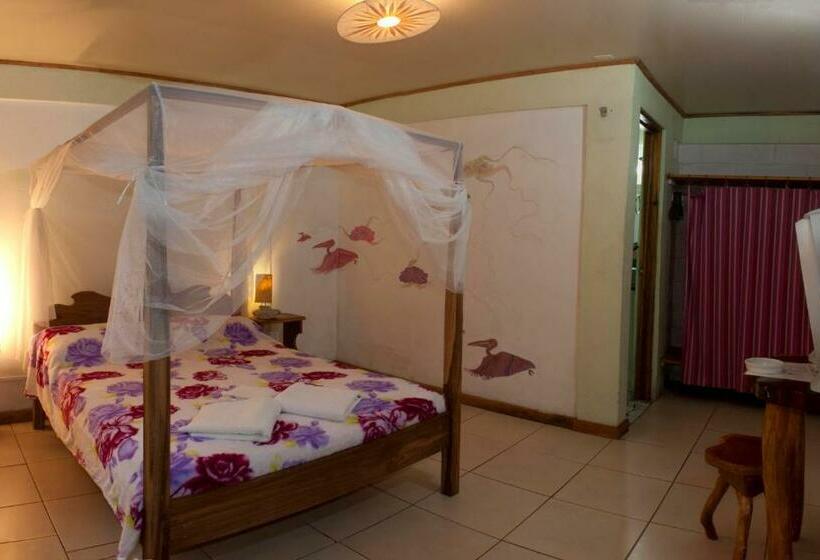 חדר סטנדרט, Blue Conga