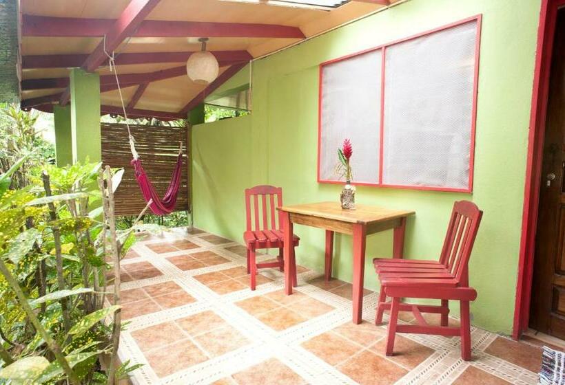 חדר סטנדרט, Blue Conga