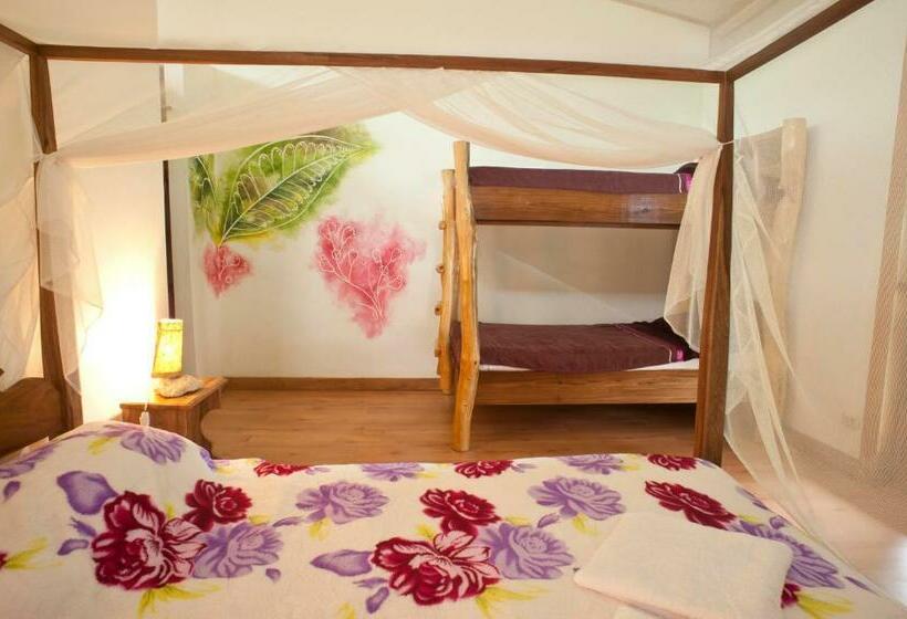 חדר סטנדרט לארבעה, Blue Conga