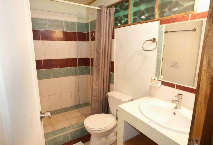 חדר סטנדרט לארבעה, Blue Conga