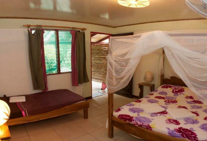 חדר סטנדרט לשלושה, Blue Conga