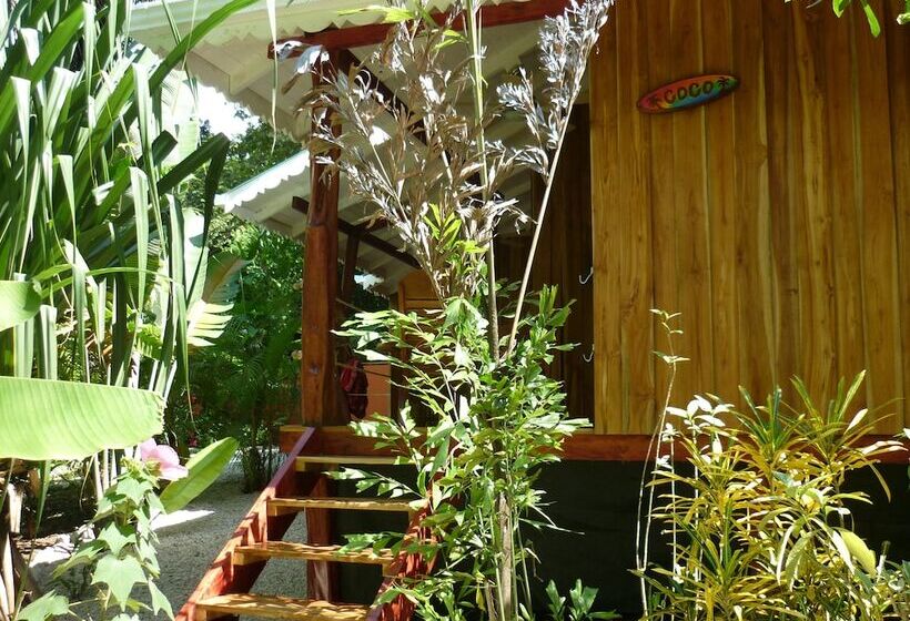Номер Стандарт, El Pequeño Gecko Verde