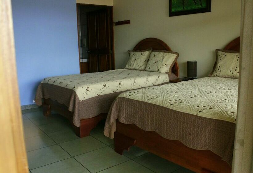 기본룸, Fas B&b