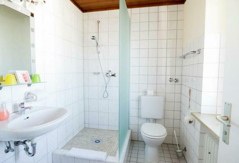 Номер Стандартный Кровать Куин, Gasthof Rose