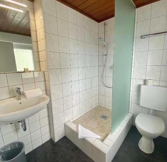 Номер Стандартный Кровать Куин, Gasthof Rose