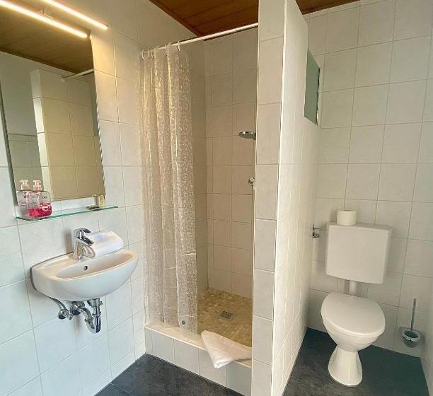 Номер Стандартный Кровать Куин, Gasthof Rose