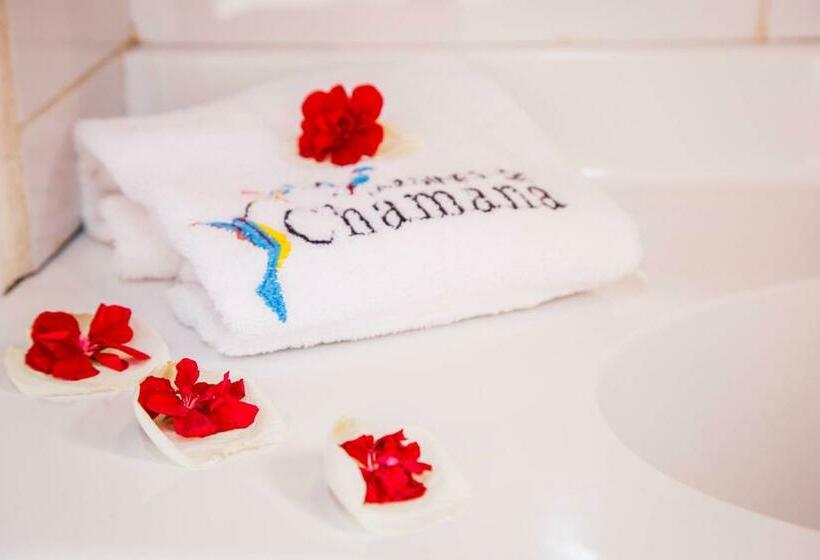 スタンダード４人部屋, Jardines De Chamana