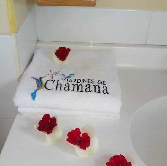 スタンダードルーム, Jardines De Chamana