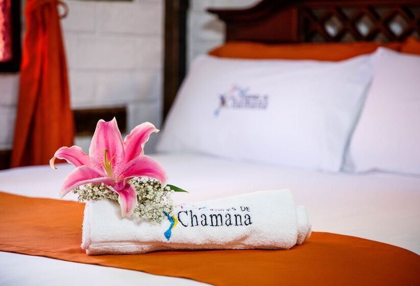 スタンダードルーム, Jardines De Chamana