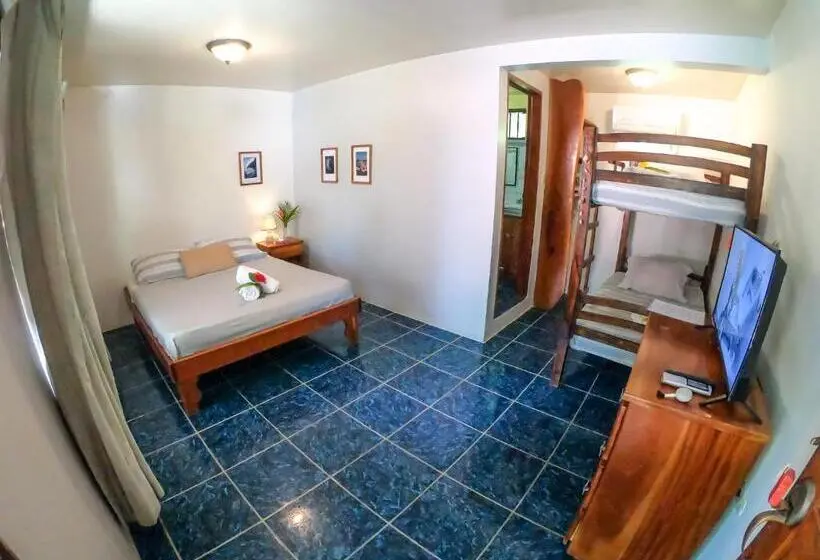 プレミアム４ベッドルーム, La Posada   Hostel