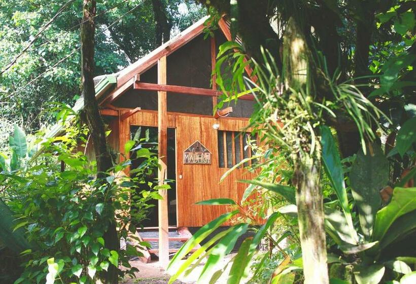 بنگله خانوادگی, Mohagine