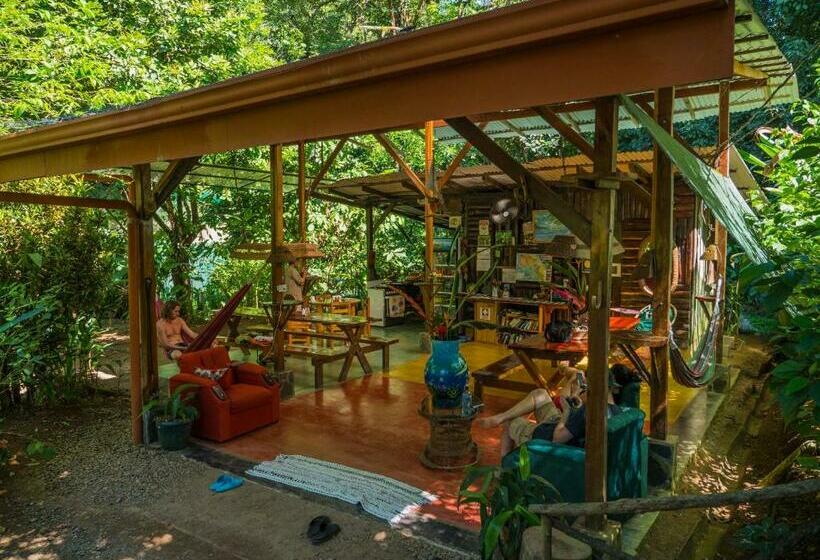 بنگله خانوادگی, Mohagine