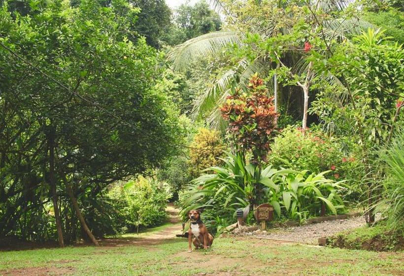 بنگله خانوادگی, Mohagine