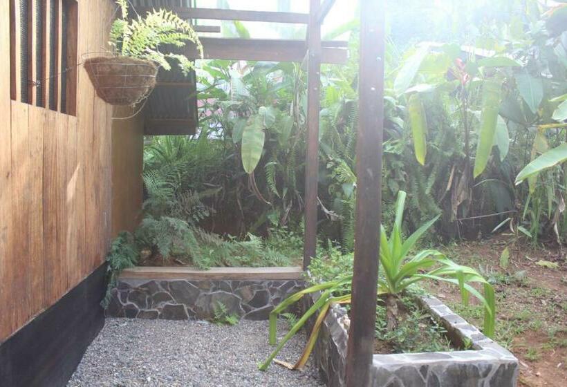 بنگله خانوادگی, Mohagine