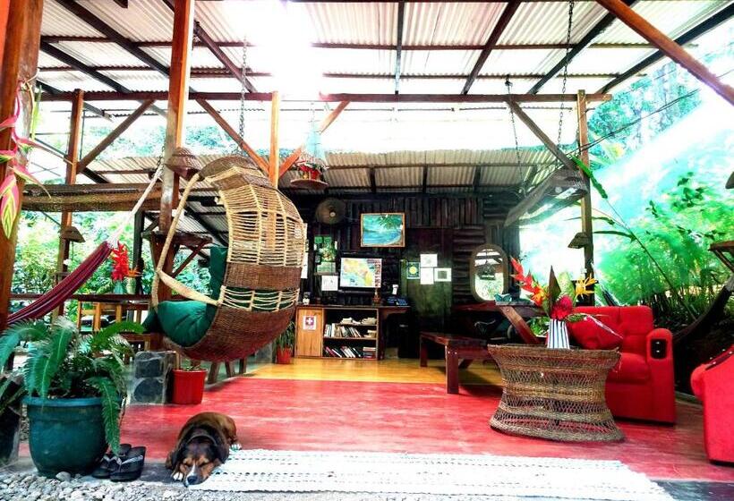 اتاق استاندارد با سرویس بهداشتی مشترک, Mohagine