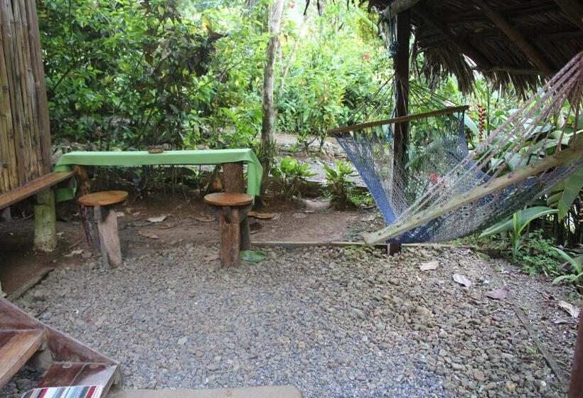 اتاق استاندارد با سرویس بهداشتی مشترک, Mohagine