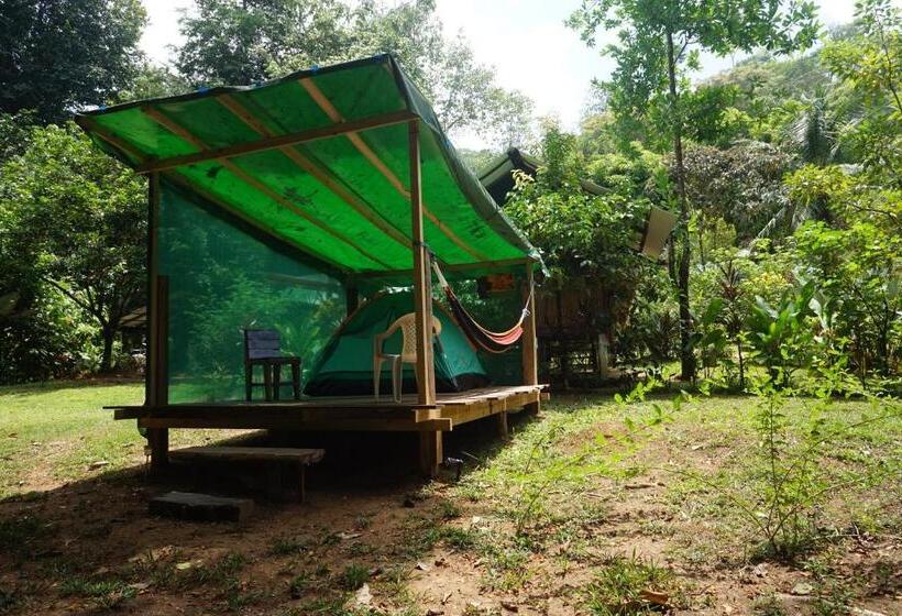 چادر با خدمات رفاهی استاندارد, Mohagine