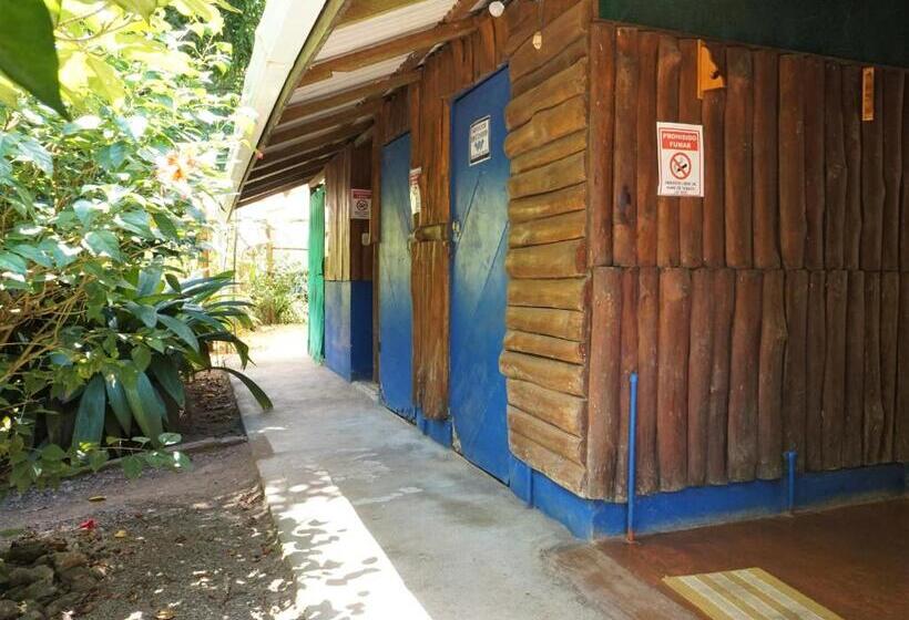 چادر با خدمات رفاهی استاندارد, Mohagine