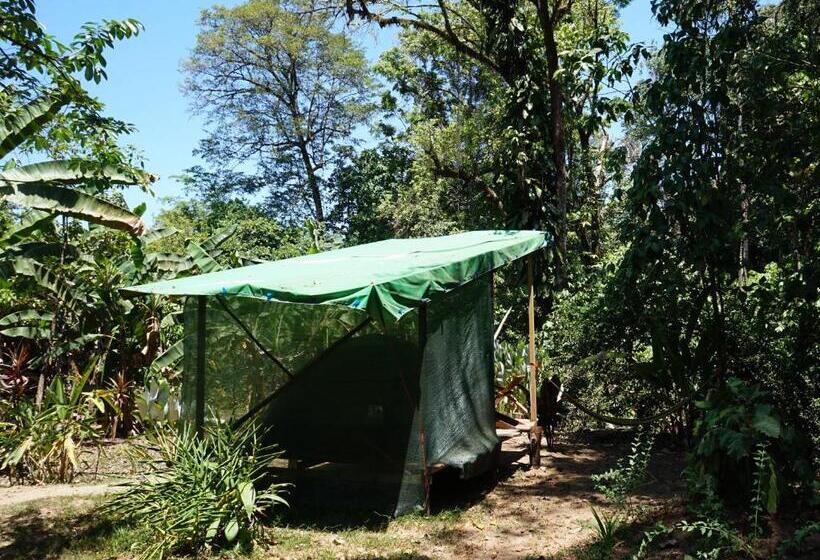 چادر با خدمات رفاهی استاندارد, Mohagine